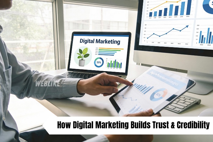 Digital marketing analytics and growth strategy by Weblike Digital Solutions, Coimbatore, showing performance tracking and business