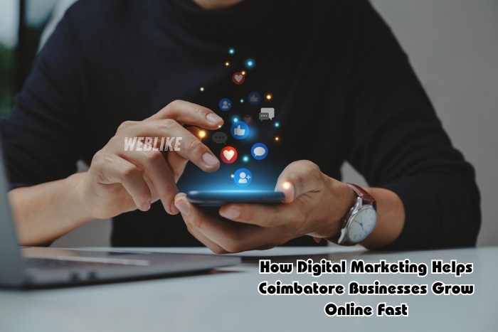Digital marketing strategy by Weblike Digital Solutions, Coimbatore, showing social media engagement and online business growth