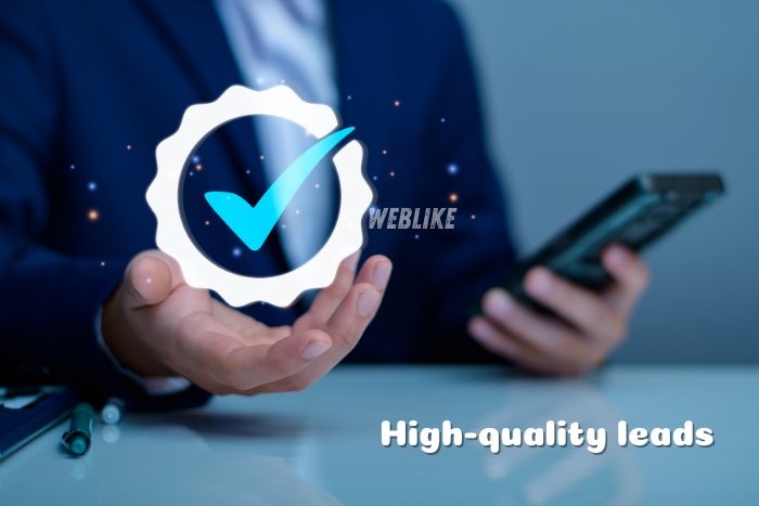 Digital marketing visual showing trust, performance, and lead qualification by Weblike Digital Solutions, Coimbatore