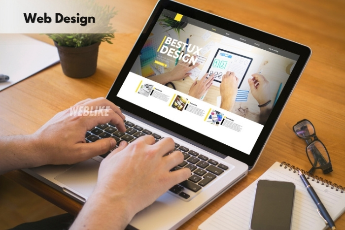 Professional web design service by Weblike Digital Solutions, Coimbatore, Modern website layout and creative UI design work