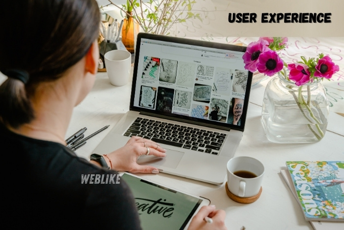 Professional web designing workspace highlighting UX design, content arrangement, and user-friendly website by Weblike Digital Solutions