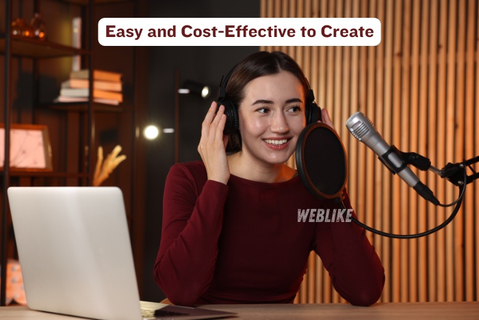 Weblike Digital Solutions, Coimbatore- Professional digital marketing setup highlighting voice recording, online branding