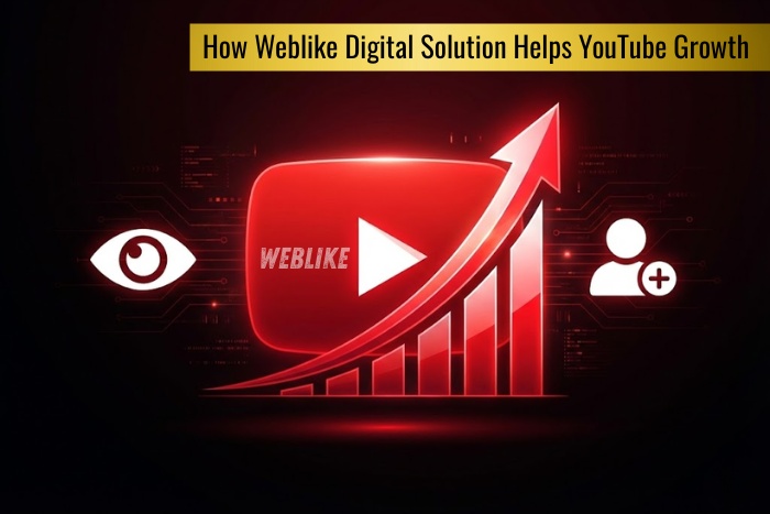 Weblike Digital Solution in Coimbatore helping businesses achieve YouTube growth with smart video marketing strategies
